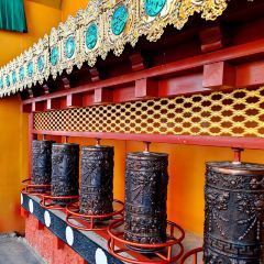 半途而沸 白塔·观景咖啡 User Photo