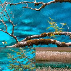 卡万金特色藏餐 User Photo