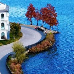 IN MY HEART User Photo