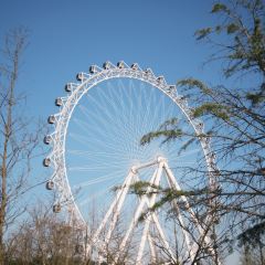 哎呀妈妈哟岚山豆腐木柴大锅鱼 User Photo