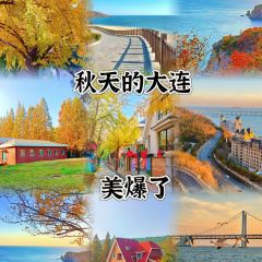 喜鼎海胆水饺(星海湾壹号店) User Photo