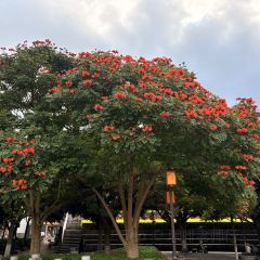 CONG SHUI LU REFECTORY User Photo