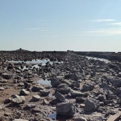 成山頭裕福祥漁家樂張用戶圖片