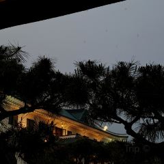 오름플라워카페 User Photo