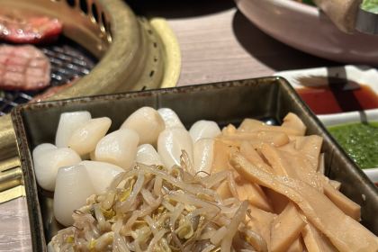 Niku Ou Japanese Chargrill Restaurant