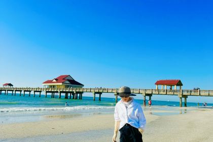 Rusty Pelican - Tampa