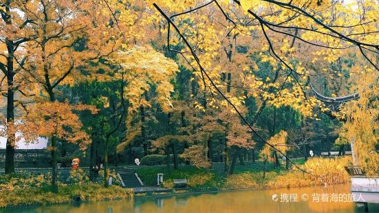 Central Memorial Forest, Taohua Pond, Jiufeng Park, Huangyan County
