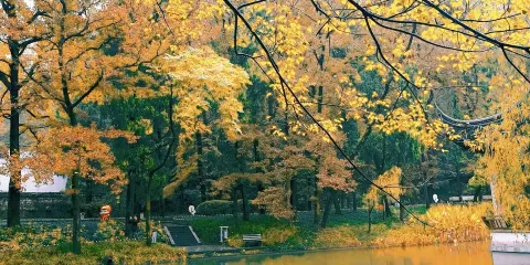 黃巖區九峯桃花潭中心紀念林