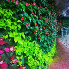 星巴克(華茂店)張用戶圖片