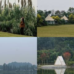 周记祖传汉阳特色棒棒鸡 User Photo