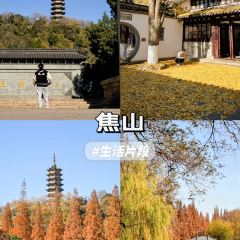 江大小后街張用戶圖片