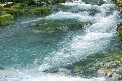 DA MU ZHI NIU ROU FEN