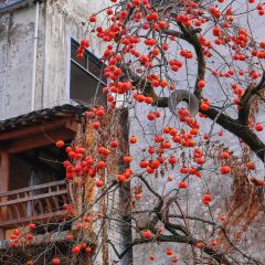余清斋私房菜 여행 사진