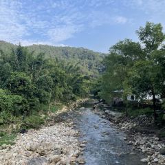 泉記燒鵝張用戶圖片