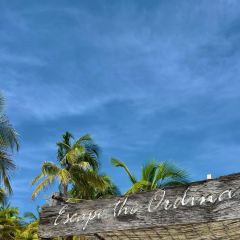 Nikki Beach Miami ảnh của người dùng