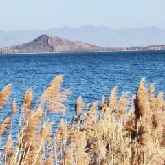 观湖台 User Photo