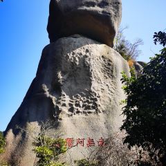 伴山客棧張用戶圖片