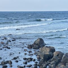 Hugely Jeju User Photo