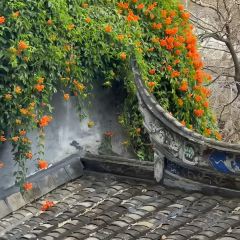 小猎犬面包公司(烟台山店) User Photo