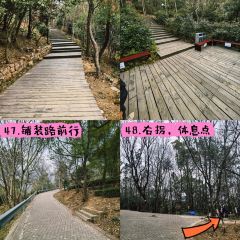 清雅茶苑(山湾里店) User Photo