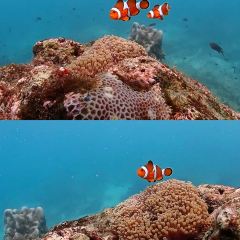 Samaesan Marina แสมสารมารีน่า 여행 사진