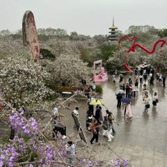 QINGHE User Photo