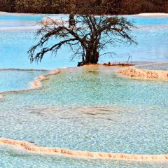 RU YI LIN KA CANG CAN User Photo