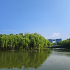 国贸花园酒店1178海鲜自助餐厅(武康店) User Photo