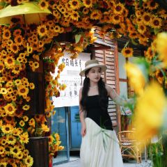 介个院子·草坪团建·围炉冰粉 User Photo