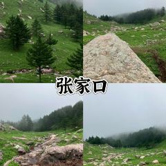 DA WEI ROAST WHOLE LAMB User Photo