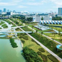 光明刘冰乳鸽店(光明法政北路店) User Photo