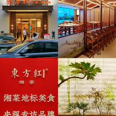 Dongfanghong·laotanduojiaoyutou (zhangguanqijian) User Photo