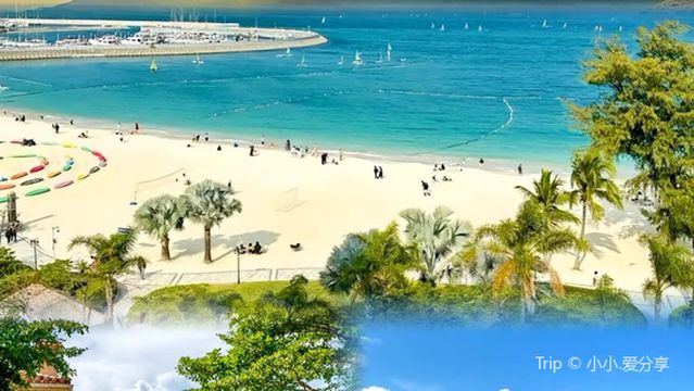 jie diao sha bo li hai tan