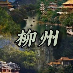 韋韋木薯羹張用戶圖片