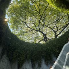 Oriental Kopi 華陽 @ Pavilion KL張用戶圖片