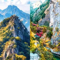 遂昌乐领旗山侠隐庄园·悬崖咖啡馆 User Photo