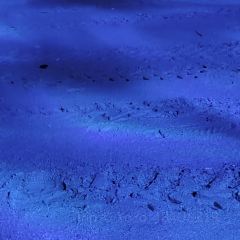 北海银滩皇冠假日酒店·全日餐厅 User Photo