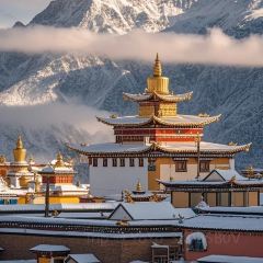 JUN WANG FU User Photo