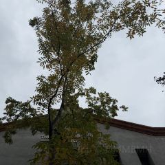 SOMEWHERE kitchen User Photo