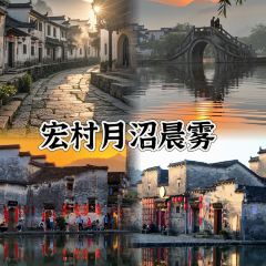 秀嫂挞粿 User Photo