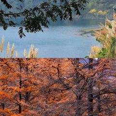 老李家燒烤·安吉網烤（安吉店）張用戶圖片