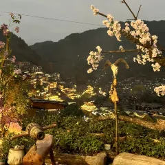 幽兰落 User Photo