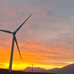 艾沙江达吾提烤包子(新友好美食街店) User Photo