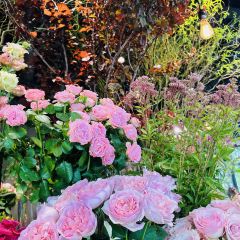 Aoyama Flower Market Green House User Photo