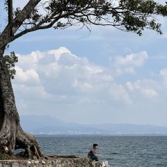 抚仙湖·自在汐岸咖啡餐吧 User Photo