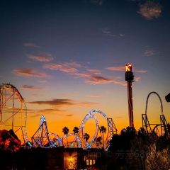 Knott's Berry Farm User Photo