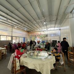 田心农庄·荔枝木烧鸡·农家河鲜 User Photo