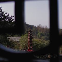 文记棒棒鸡 User Photo