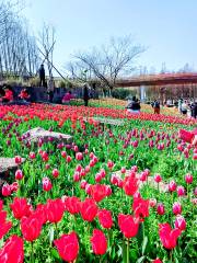 สวนสาธารณะเยนเว่ยจู