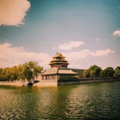 大西北(吾悦广场店) User Photo
